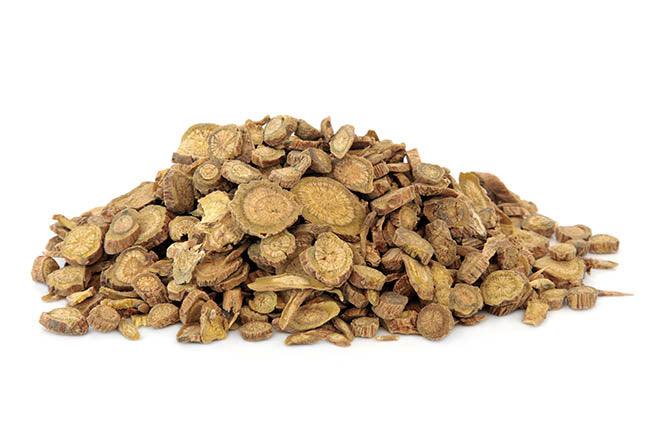 Scutellaria root used in chinese herbal medicine over white background.  Huang qin.