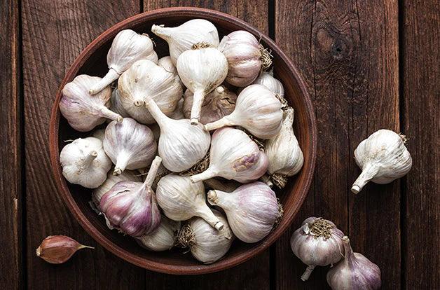 garlic allicin immune strength microbes