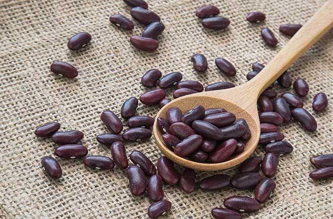 kidney beans, red beans, lectins in wooden spoon