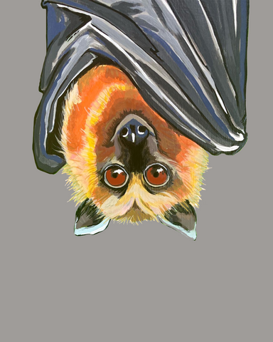 Barnabee the bat, a fruit bat hanging upside down and smiling at the viewer