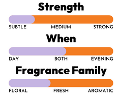 Fragrance Strength: