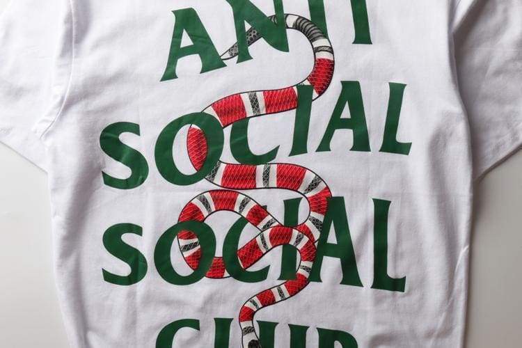 assc gucci snake