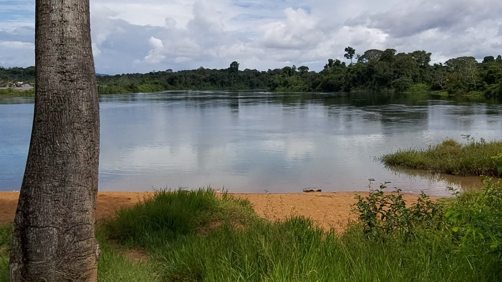 Baling Soela Rivière Suriname côté eau