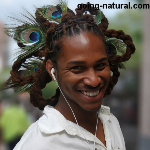 Peacock Locs Locs styled with peacock feathers