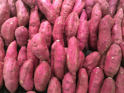 Japanese sweet potato