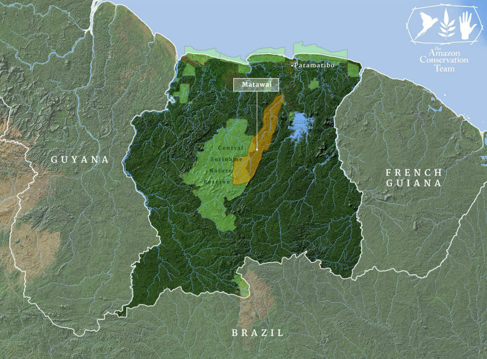 Suriname, country in the middle of the Guyana's 