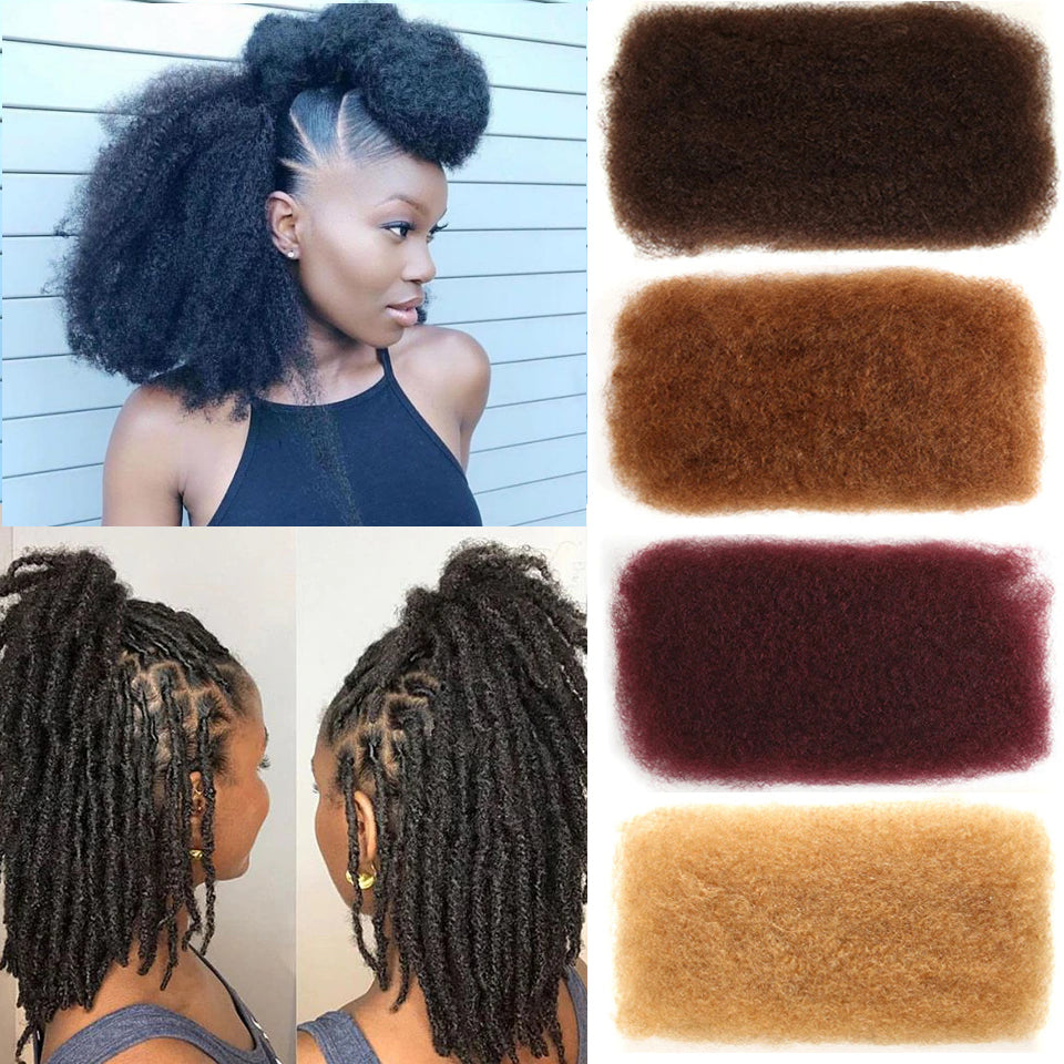 Natural Faux Locs Dread Locks Afro Kinky Curly Human Hair Bulk Brazilian  Dreadlocks Crochet Braids Hair Extensions - China Braiding Bulk Hair and  Remy Brazilian Human Hair price