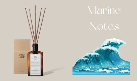 Fresh Summer Scents Recommendation Marine Notes Sailing Reed Diffuser