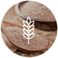 Psyllium Husk