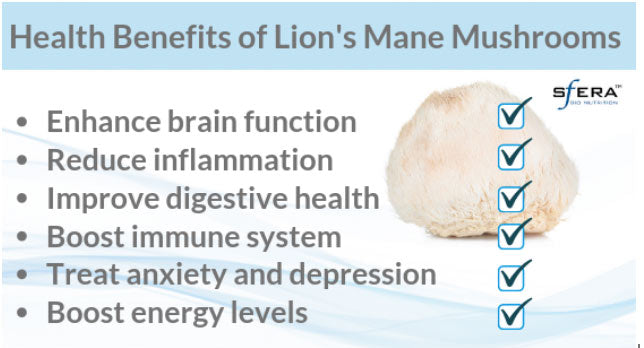 The benefits of lions mane