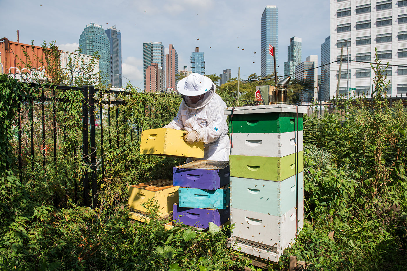 urban farming