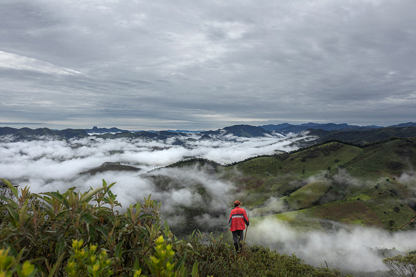 The Atlantic Forest: People vs. Politics 
