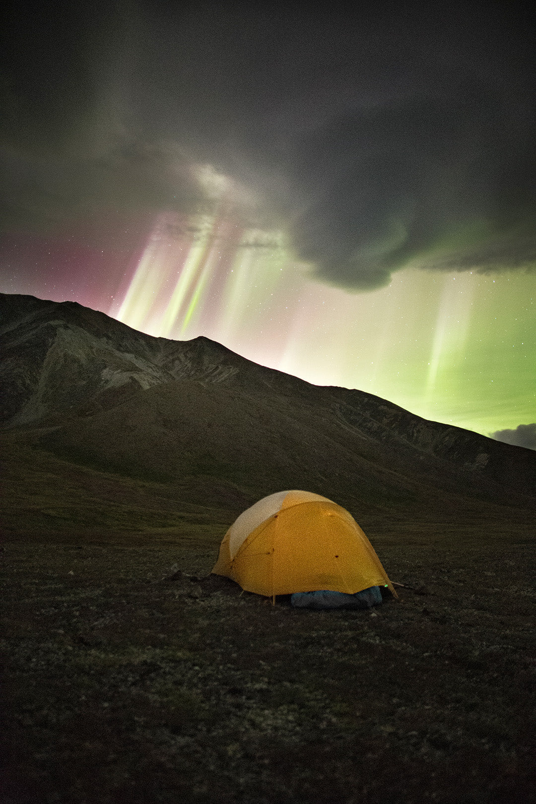 Inside Alaska’s Last Wild Frontier Denali National Park