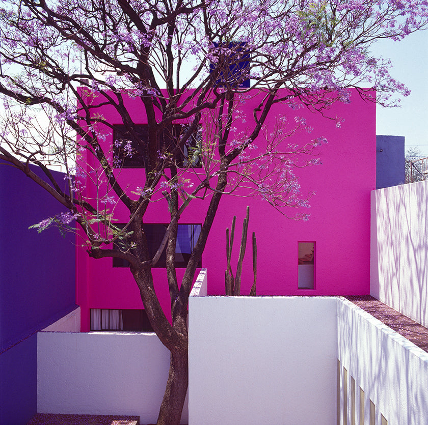 Luis Barragán’s Spiritual Spaces of Serenity 