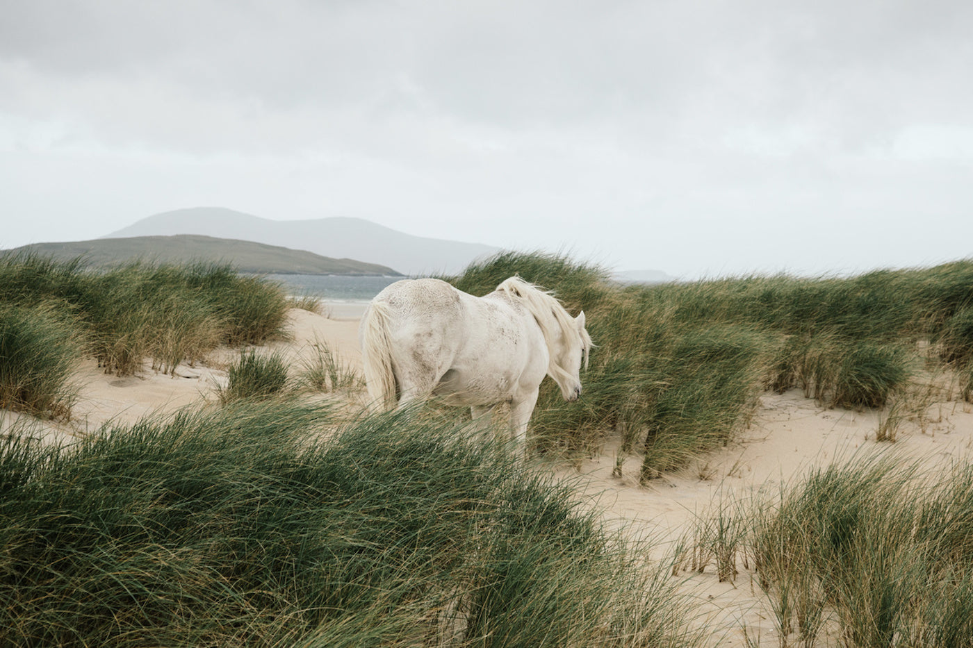 Richard Gaston Photography Landscape