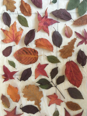 Colourful autumn leaves on fabric