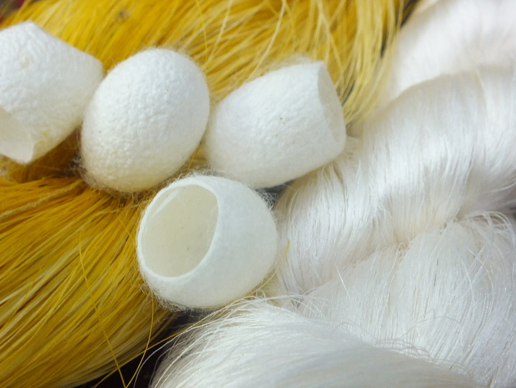 Peace silk cocoons cruelty-free production | Gewaltfreie Seidenproduktion durch aufgeschnittene Kokons