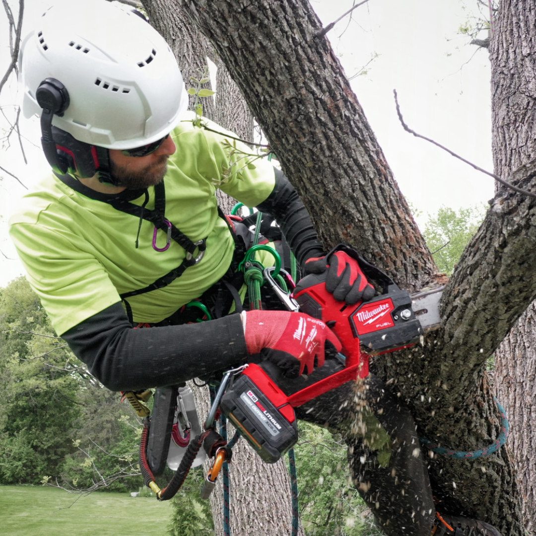 How to properly sharpen your chainsaw (instructions) – Einhell Blog