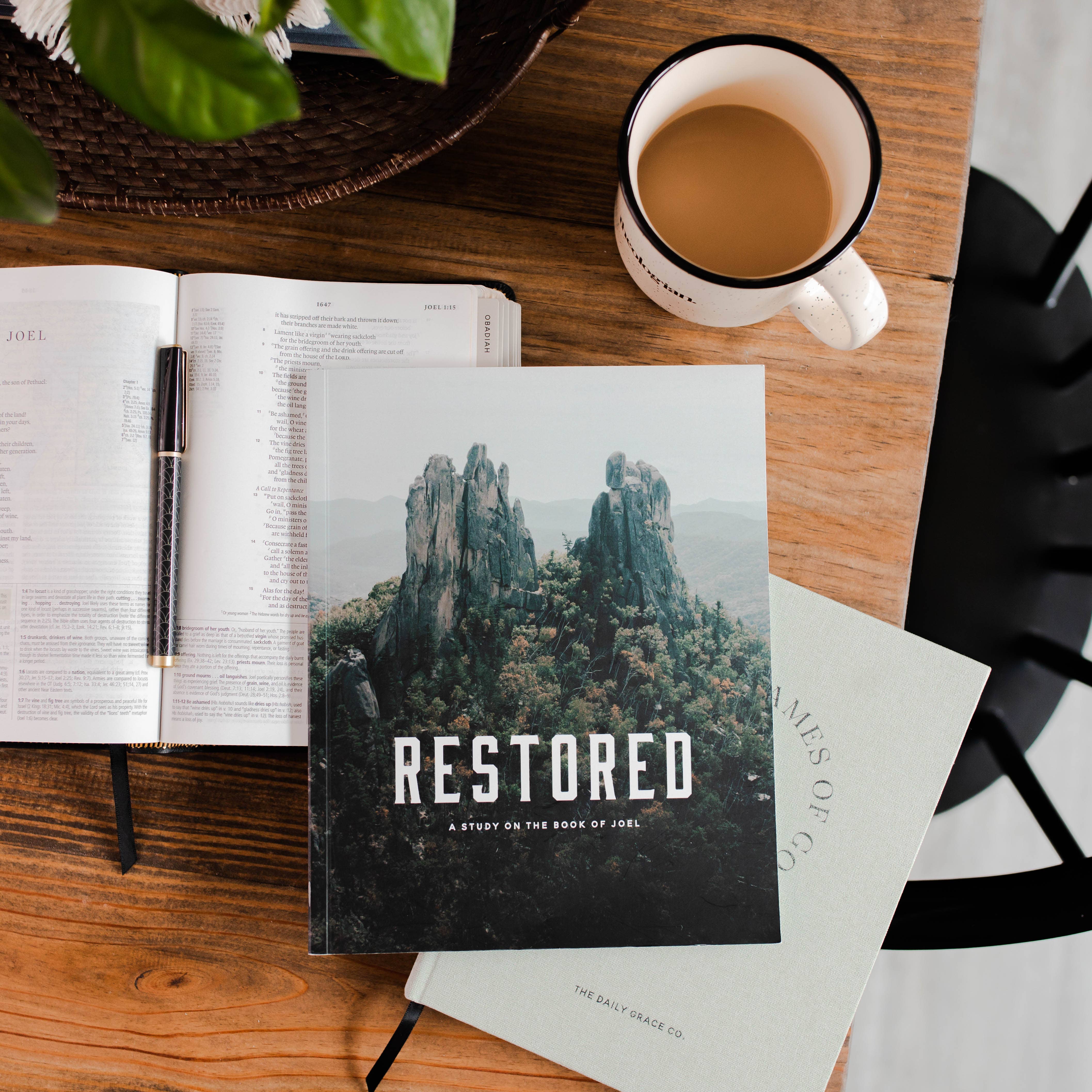 Restored | The Book of Joel | Study for Men
