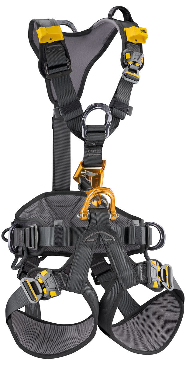 国民民主、 商品カテゴリー: クライミングハーネス PETZL - セレナクライミングハーネス、バイオレット、XS