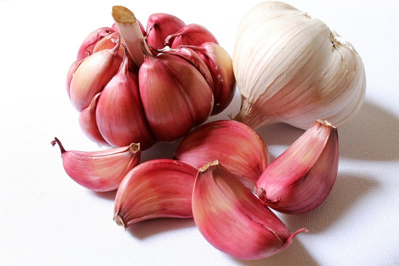 gastritis garlic