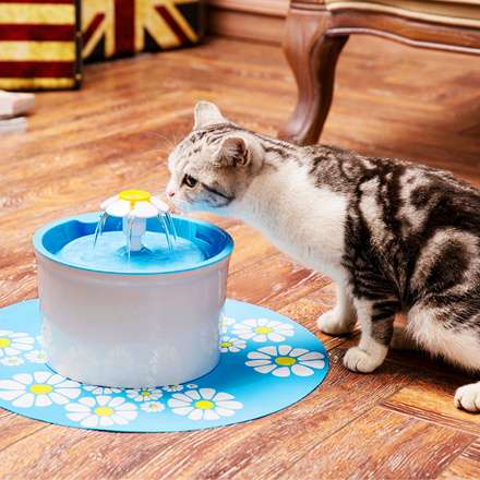 Fontaine à Eau Chat