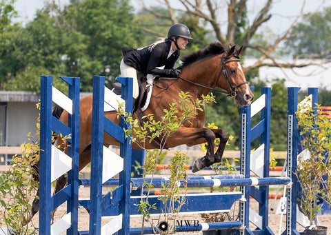 purvidas finnegan show jumping horse