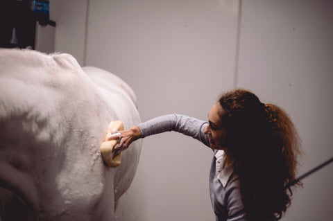 natural horse shampoo purvida healthy horse girl bathing horse