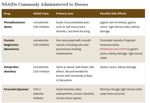 common equine nsaid use side effects 