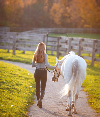 horses horse care equestrian hoof health 