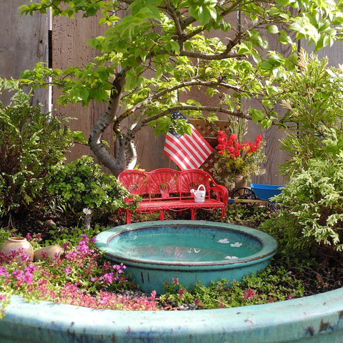 A July Fourth Miniature Garden in Red, White and Blue