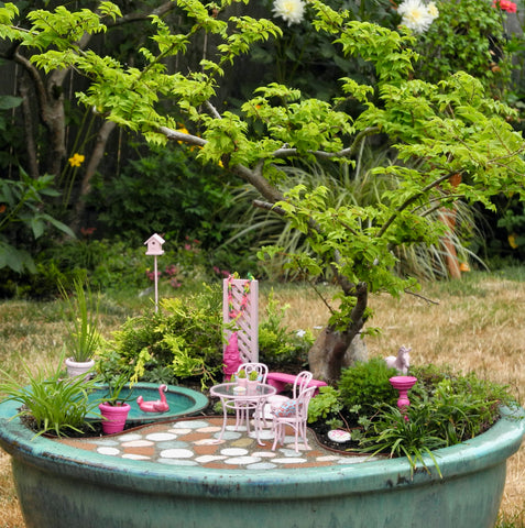 A Barbie-themed miniature garden with a Jacqueline Hillier Elm