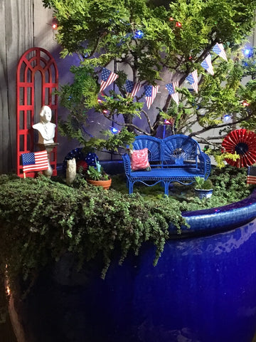 July 4th Patriotic Miniature Garden with Jean Iseli Hinoki Cypress