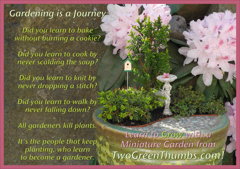 Miniature Gardening is a Journey