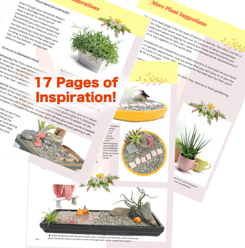 Simple Creative Ways to Grow Awesome Little Dish Gardens, 1.0 - PDF eB