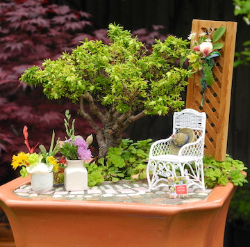 Miniature Garden Kits Or Diy Fairy Gardening Craft Your Own World