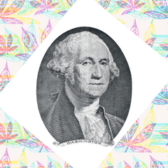 US President George Washington