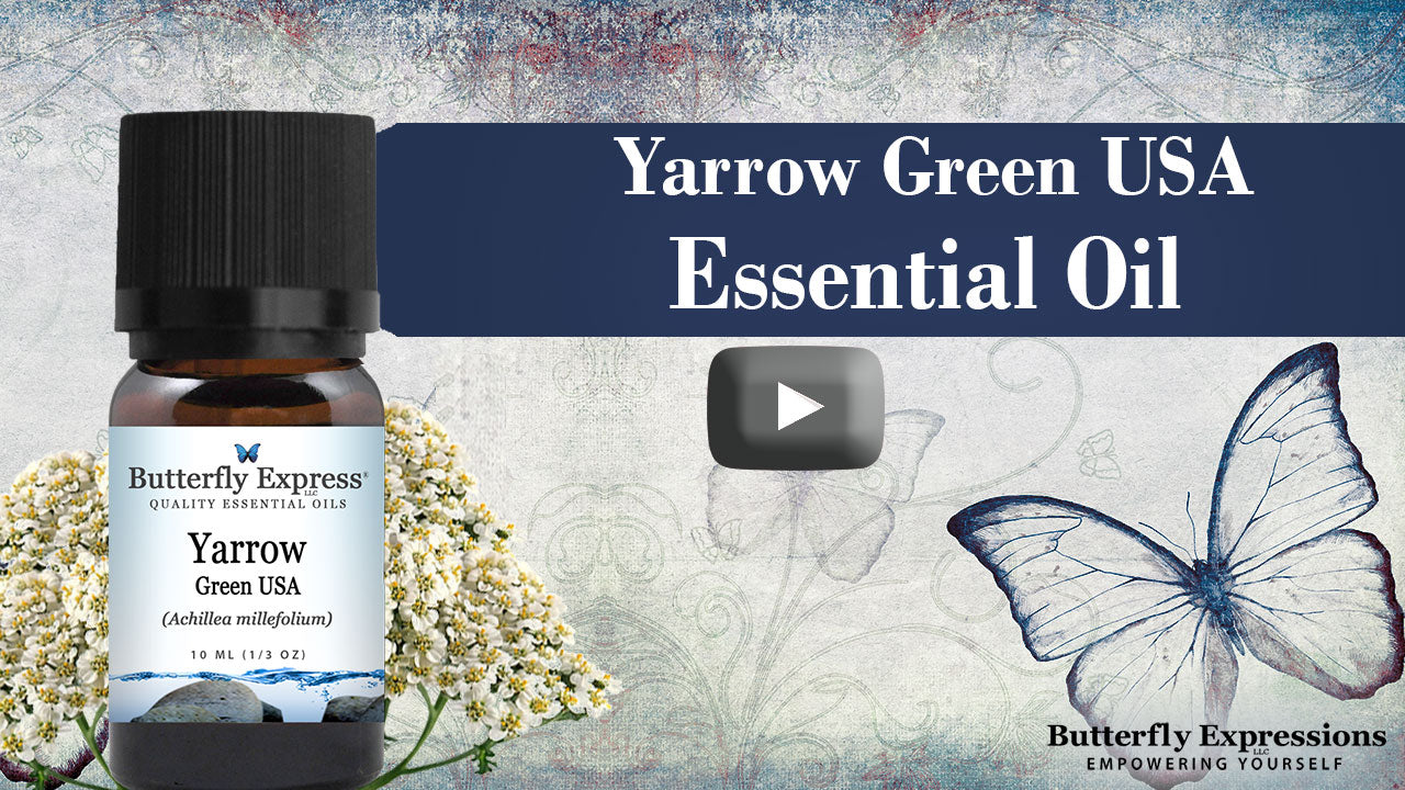 Yarrow Green USA