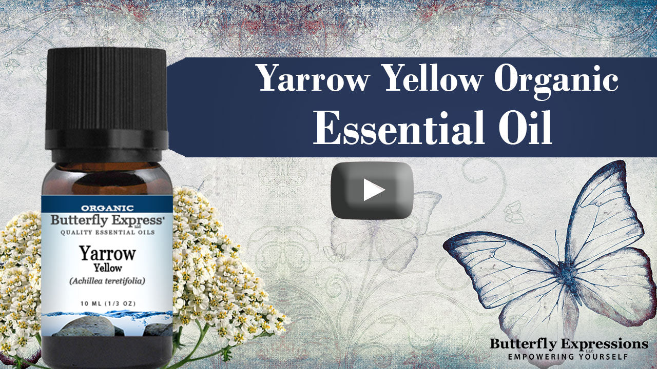 Yarrow Yellow Organic