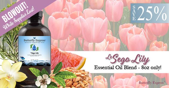 Butterfly Express Quality Essential Oils