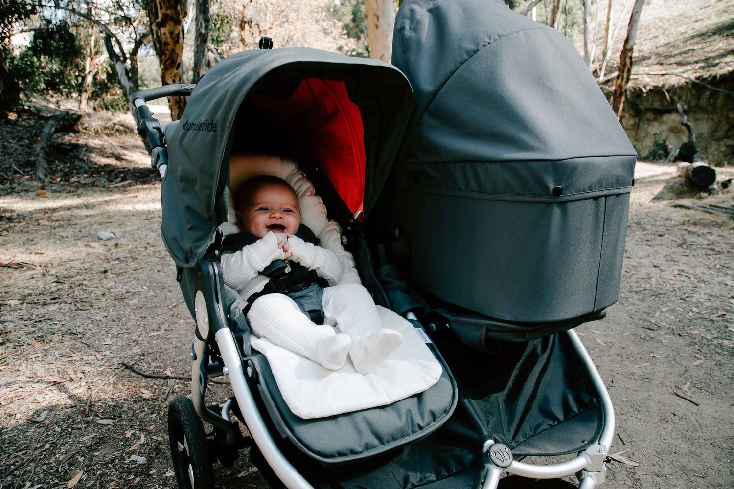 stroller with newborn insert