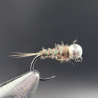Chateauguay Cased Caddis – Smart Angling