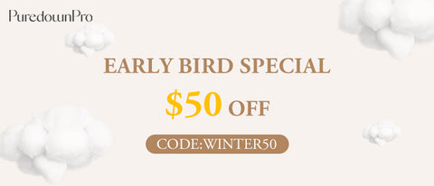 Beat the Chill With Early Bird Discounts on Our Winter Comforters