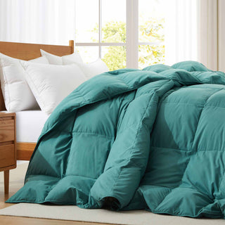 puredown Lot de 2 oreillers en duvet d'oie avec 2 protections extérieures,  tissu en coton, blanc, taille standard/queen : : Maison