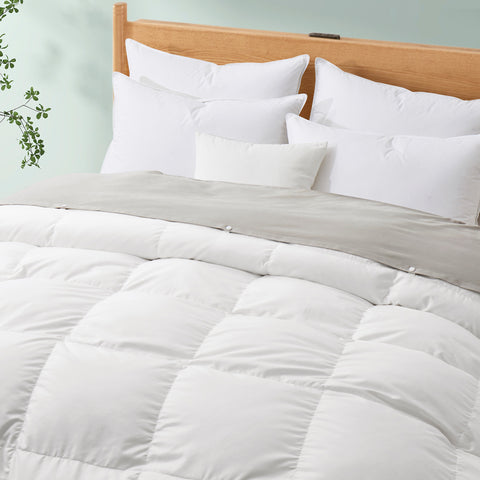 All Seasons Down Comforter with Removable Dustproof Cover