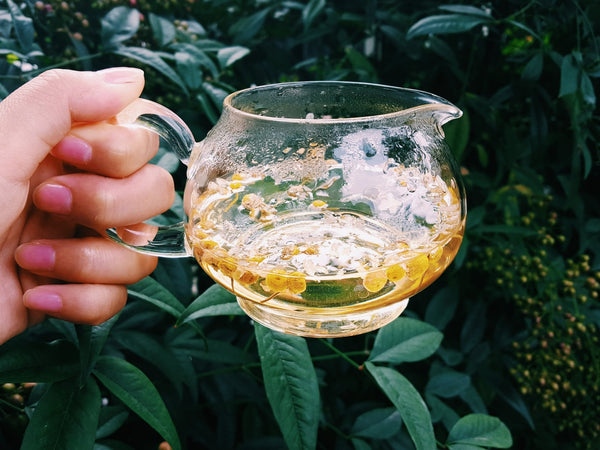 loose leaf tea cup chamomile