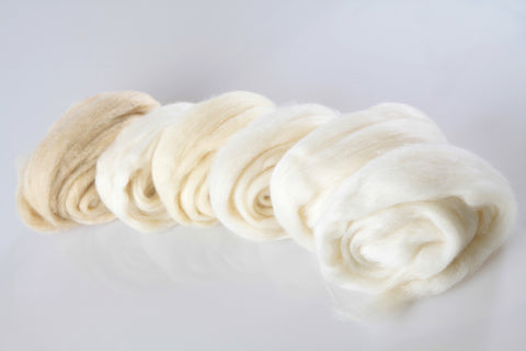 carded wool