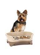 Small Dog (Under 18 lbs.) - neaterscooper product image