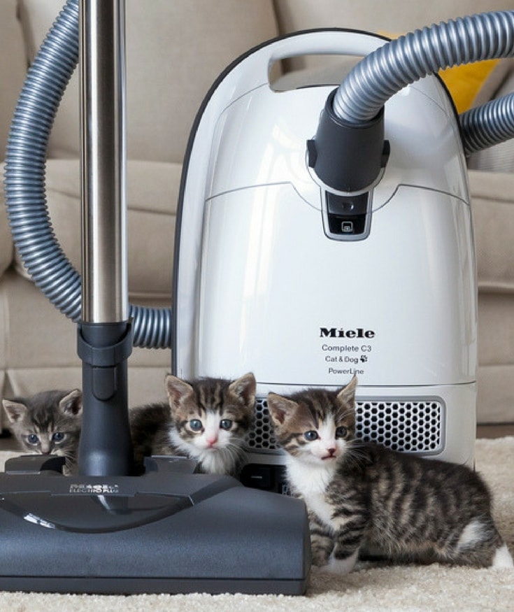 Spotlight on Miele: Washing Machines and Vacuums Made Better