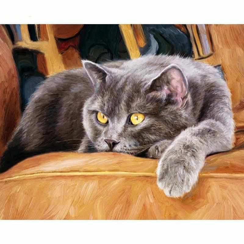 Kit Peinture A Numeros Adulte Chat Sur Le Sofa